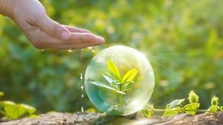 Глобальное изменение климата требует инновационных подходов к защите сельскохозяйственных посевов и агрохимии