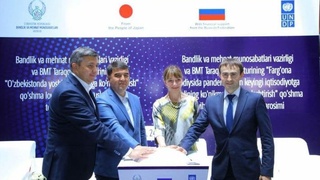 ПРООН поможет адаптироваться к постпандемической экономике