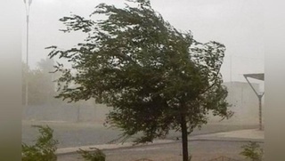 Toshkent shahar FVB aholini ogohlantirdi