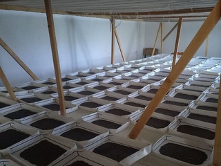 Mavsumga tayyorgarlik avjida