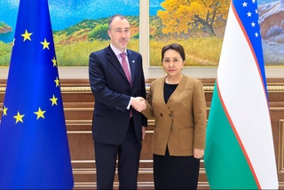 В Сенате состоялась встреча с Послом Европейского Союза в Узбекистане