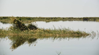Пятый объект природного наследия Узбекистана включили в список водно-болотных угодий международного значения