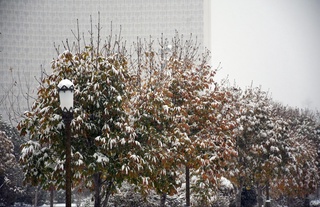 «Ўзгидромет»: Йил охиригача ёғингарчилик кутилмайди!