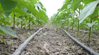 Научно обоснованное решение водных и почвенных проблем