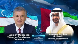 Өзбекстан мен БАӘ Президенті телефон арқылы сөйлесті