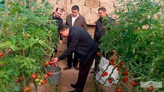 Бизнес для стабильного дохода