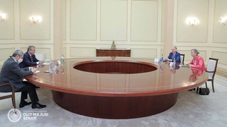 Встреча с Чрезвычайным и Полномочным Послом Швеции