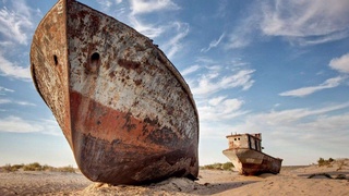 Чтобы избежать экологической пандемии