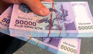 Вазир жамғармаси ҳисобидан ҳар ойлик устама оладиган педагоглар аниқланди