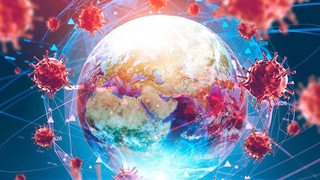 Благоприятная экология - прочная основа противодействия распространению вирусных инфекций