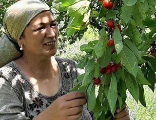 Tadbirkor va izlanuvchan ayol baxti