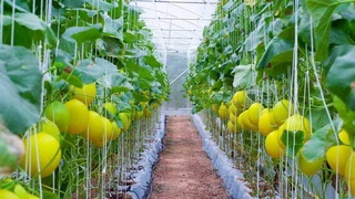 В умелых руках дело спорится!