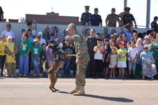 Тинчлик, хотиржамлик бардавом бўлсин