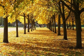 Weather forecast for November 25