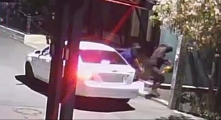 Тошкентда ниқобли шахслар кўчадаги дарахтни кесиб кетишди