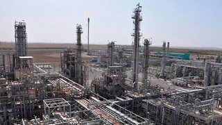 Foreign partners are exploring the possibilities of producing biopolymers in Uzbekistan