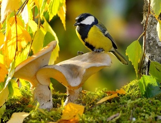 Прогноз погоды на 21 сентября