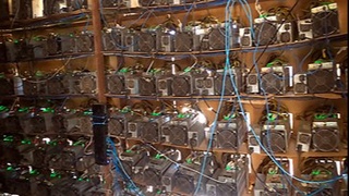 Buxoroda davlatga 2,5 mlrd soʻm zarar yetkazgan mayning ferma aniqlandi