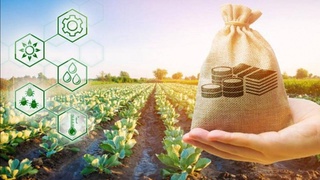 В Узбекистане упростят выделение земель под крупные аграрные инвестпроекты