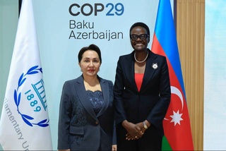 The President of the Senate held meetings with heads of international organizations and chairmen of parliaments in Baku within the framework of the COP29 conference