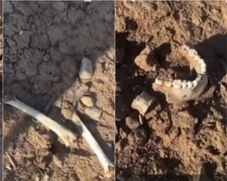 Чорвоқ сув омбори остидан қабристон ва одам суяклари топилди