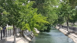 Какими должны стать набережные Ташкента