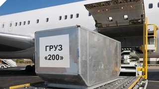 Узбекистанцев предупредили о мошенниках, собирающих деньги под предлогом доставки на родину тел погибших за рубежом