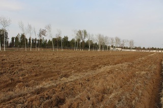 Депутатлар ташаббуси билан боғ ташкил этилмоқда