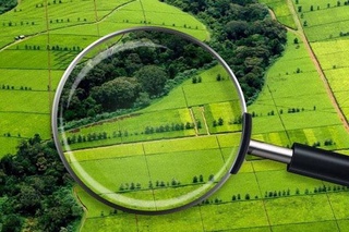 В Узбекистане до конца года будет запущен геопортал открытых данных