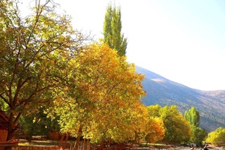 8 сентябрь куни кутилаётган об-ҳаво маълумоти берилди