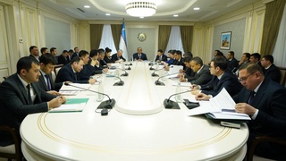 Senat qoʻmitalari “2025-yil uchun Davlat byudjeti toʻgʻrisida”gi Qonunni dastlabki tarzda koʻrib chiqdi