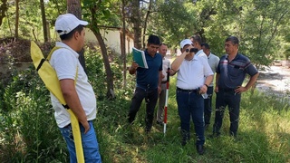 ФАО поддерживает развитие инноваций в лесном хозяйстве Узбекистана