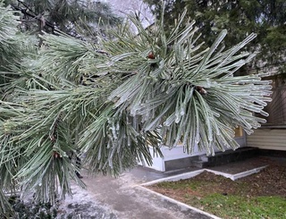 Прогноз погоды на 4 февраля