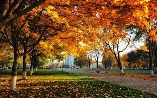 Дар охири ҳафта дар Ӯзбекистон ҳаво то +14 дараҷа гарм мешавад