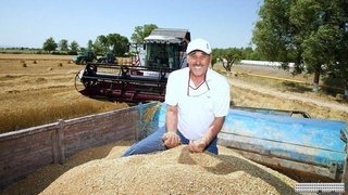 Тошкент вилояти ғаллакорлари режани бажарди