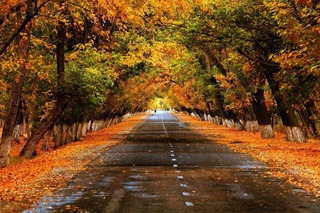 Бу йилнинг ноябрь ойи қандай бўлади?