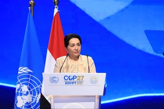 Танзила Нарбаева: «Только совместными усилиями можно противостоять проблеме изменения климата»