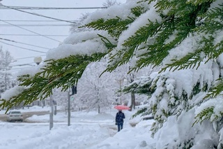 В Узбекистане в конце января ожидается похолодание до 25 градусов мороза