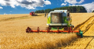 В каком регионе было выращено больше всего пшеницы?