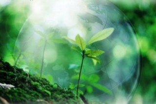 Endi tabiiy meros ham davlat tomonidan muhofaza qilinadi