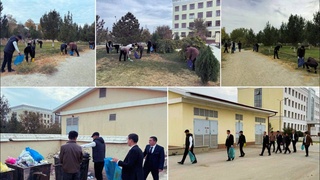 Экологическая инициатива активных студентов стала началом деятельности «Экоклуба»