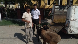 Ўз ҳолимизга ташлаб қўйишмаганидан миннатдормиз