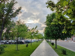 Bir kunlik yomgʻirdan soʻng Toshkentning havo ifloclanishi boʻyicha reytingi sezilarli yaxshilandi