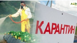 Ўсимликлар карантини бўйича хизматлар доираси кенгайтирилади