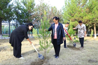 В регионах Навоийской области организуются сады председателей махаллей и помощников хокимов в махаллях, тьюторов