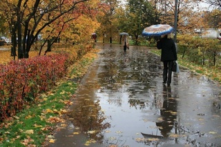 “Ўзгидромет“ ҳафталик об-ҳаво маълумотини эълон қилди