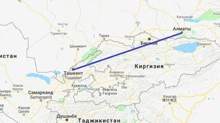 Oʻzbekiston diplomatlari Toshkent-Olmaota aviayoʻnalishida jabrlangan vatandoshlarimiz holidan xabar oldi