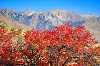 Weather forecast for October 13th