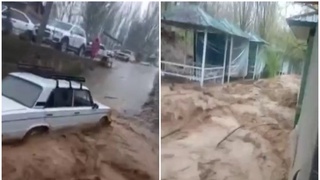 Сўқоққа сел келди