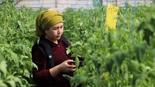 Особое внимание - созданию стабильных источников дохода